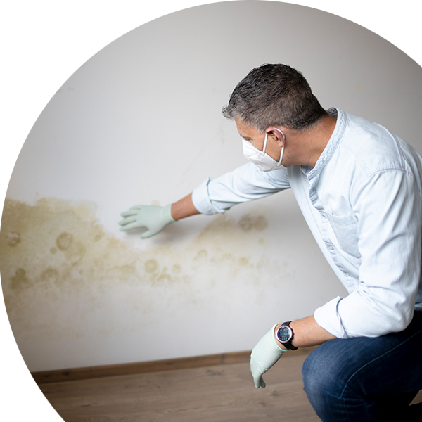 Damp and mould at home